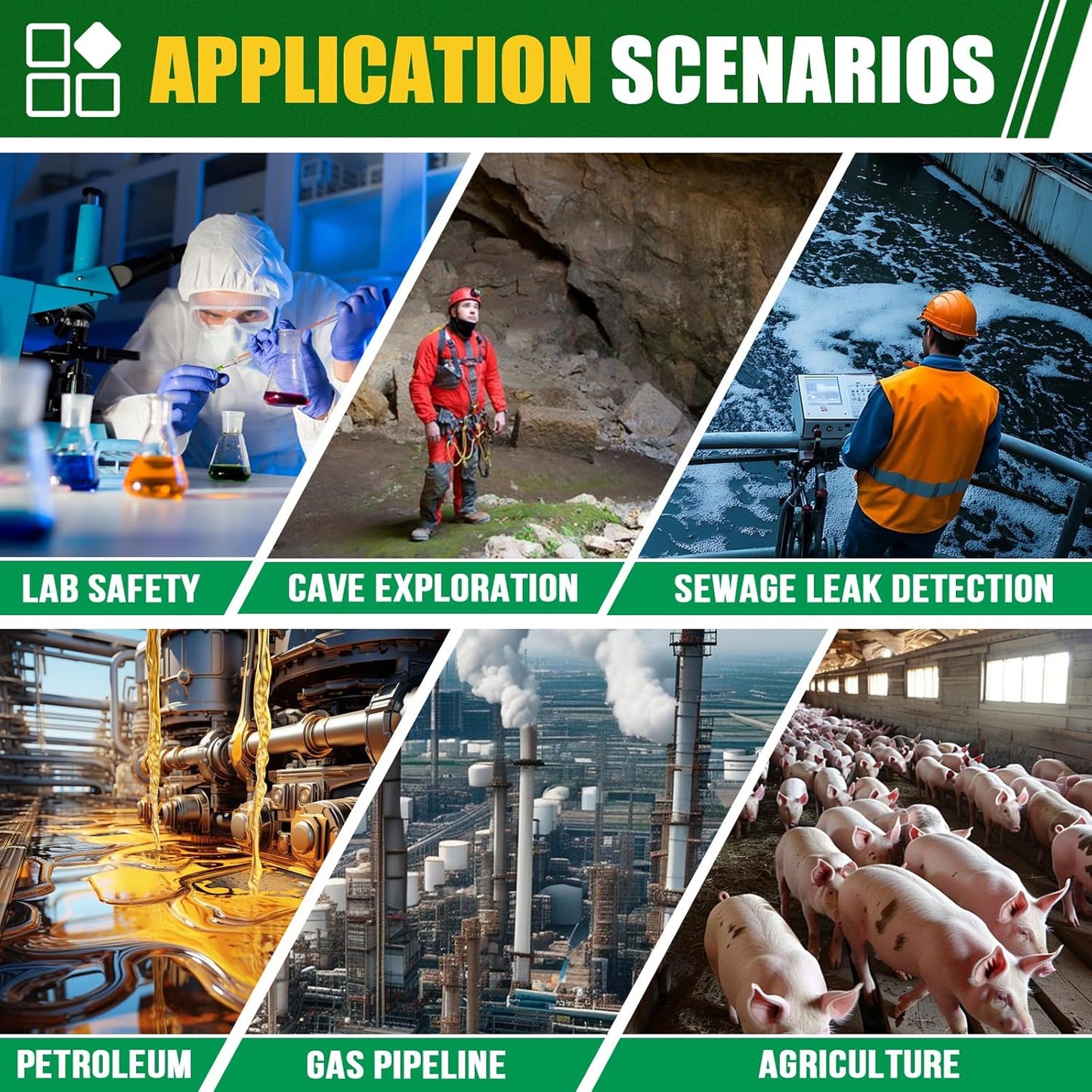 Portable Hydrogen Sulfide Detector( H2S /0-100 PPM)