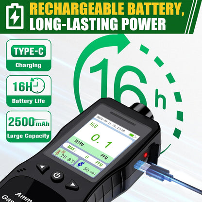 Portable Hydrogen Sulfide Detector（ H2S /0-100 PPM）